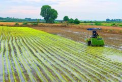 积极举报农村冒充伪劣食物违法线