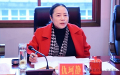 印证了高压态势下“率直从宽”的心理